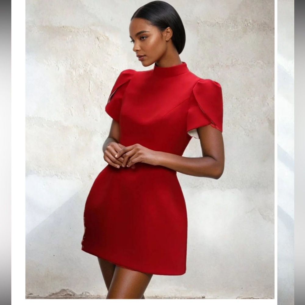 Elegant Red Dress